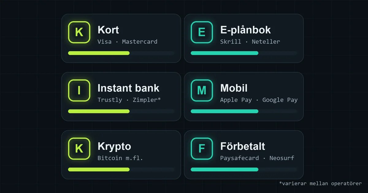 Sex typer av betalningsmetoder: kort, e-plånbok, instant bank, mobil, krypto och förbetalt